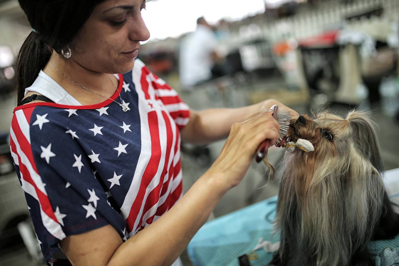 Turín celebra su exposición canina internacional