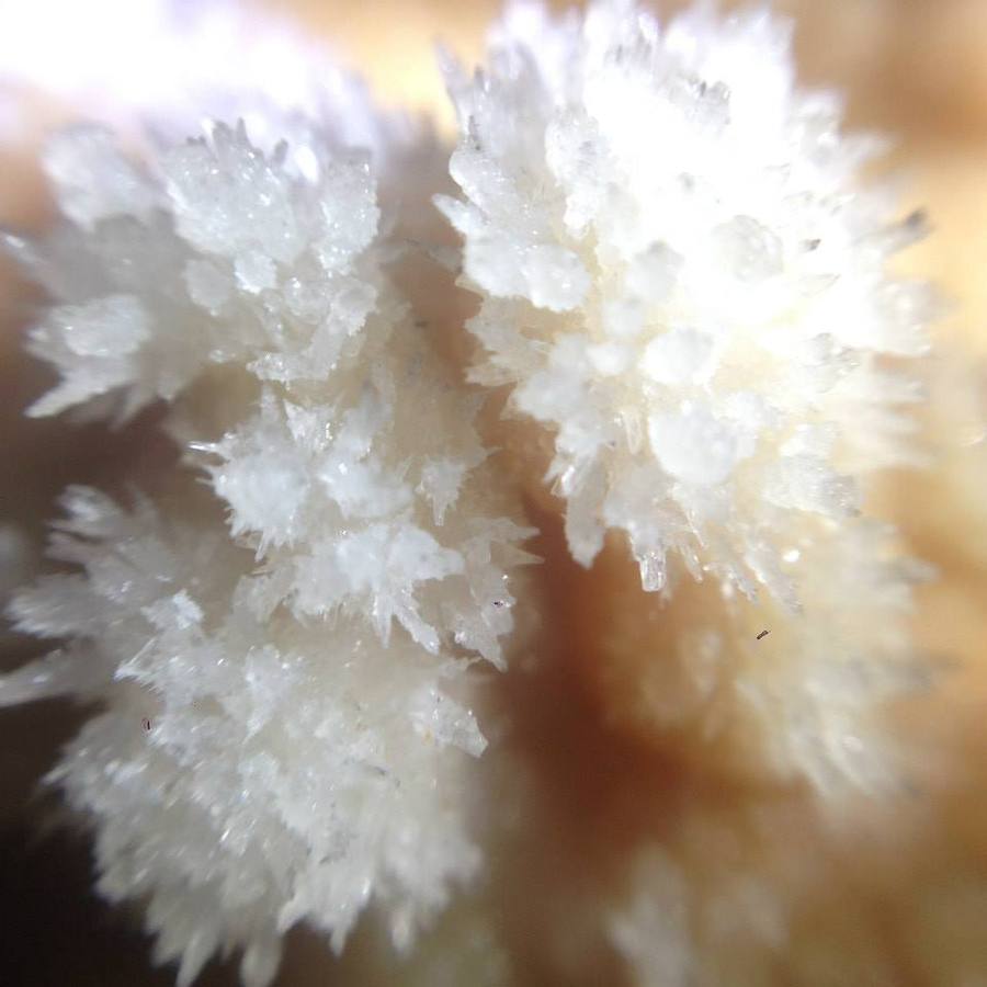 Tesoros de piedra y agua en Igualeja