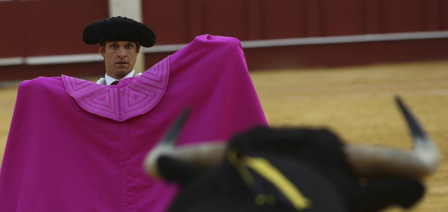 Premio al valor y la firmeza de un Perera pletórico