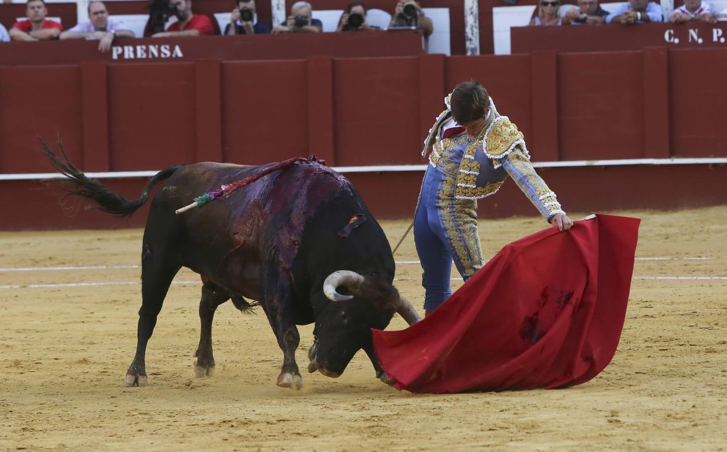 Premio al valor y la firmeza de un Perera pletórico