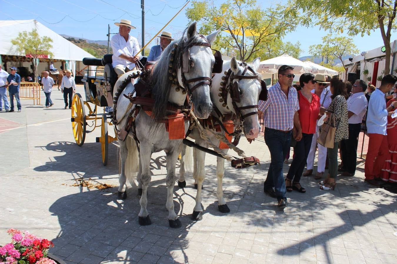 El caballo, protagonista de la Feria en Ronda