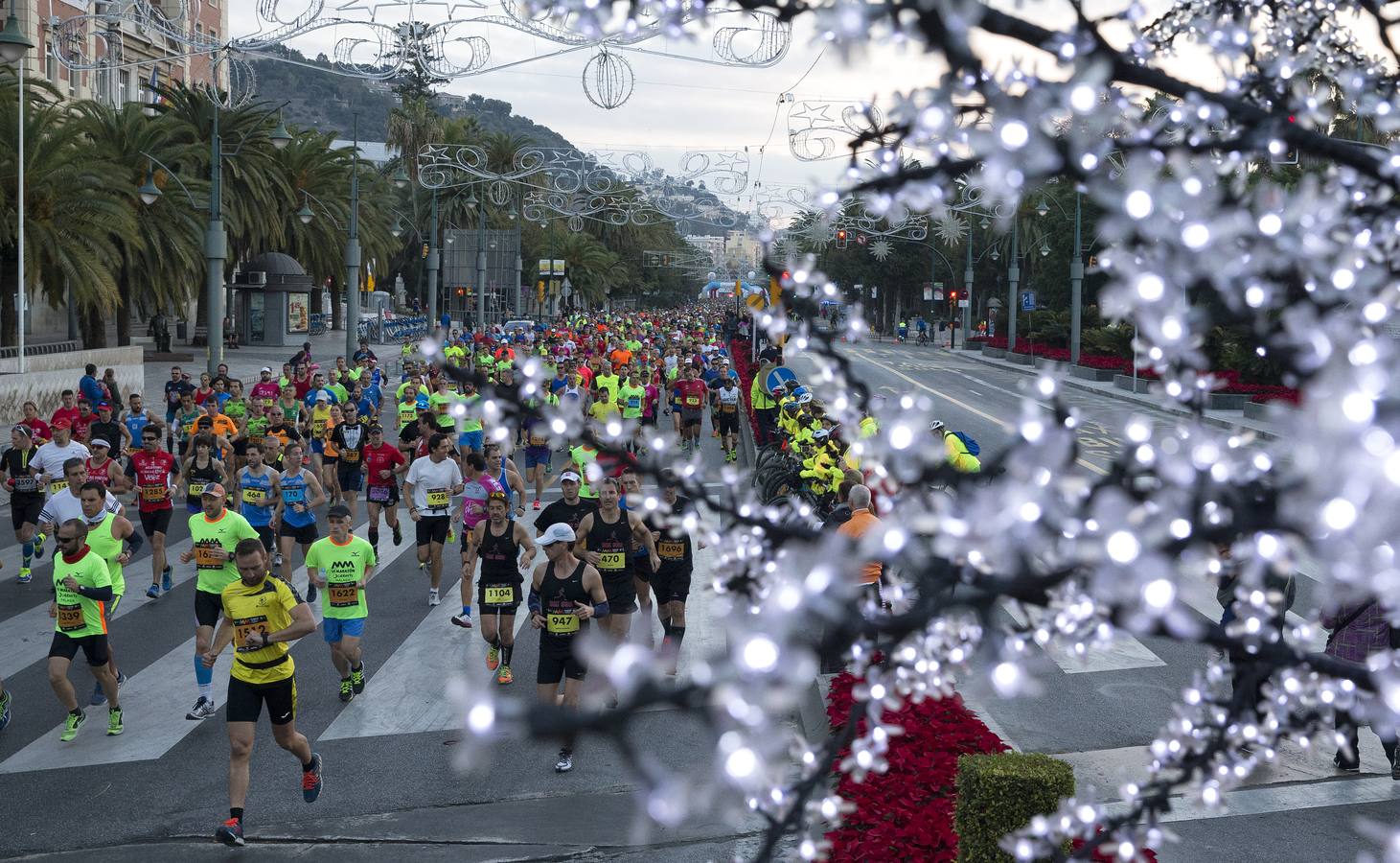 VI Maratón Cabberty, en imágenes (VI)