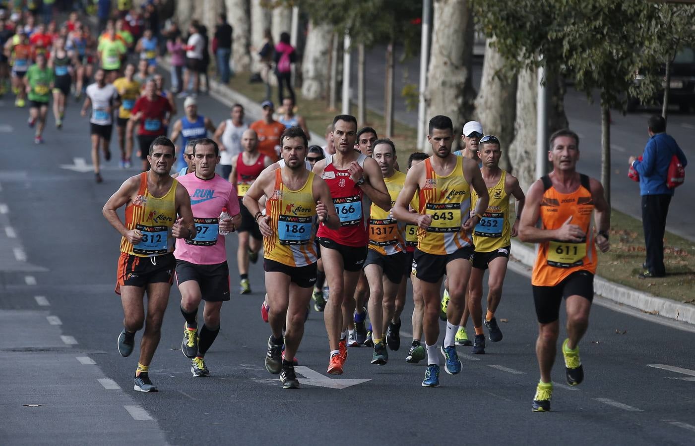 VI Maratón Cabberty, en imágenes (VI)