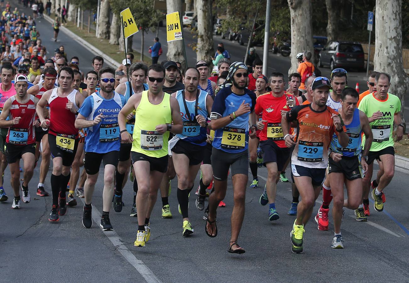 VI Maratón Cabberty, en imágenes (VI)
