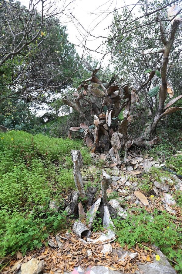 Imágenes del estado que presenta La Concepción