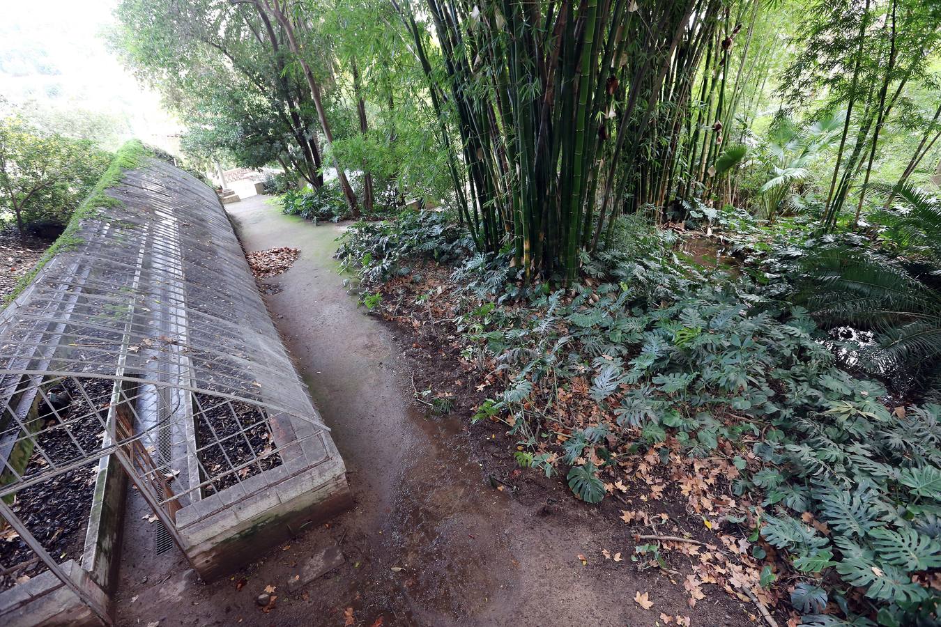 Imágenes del estado que presenta La Concepción