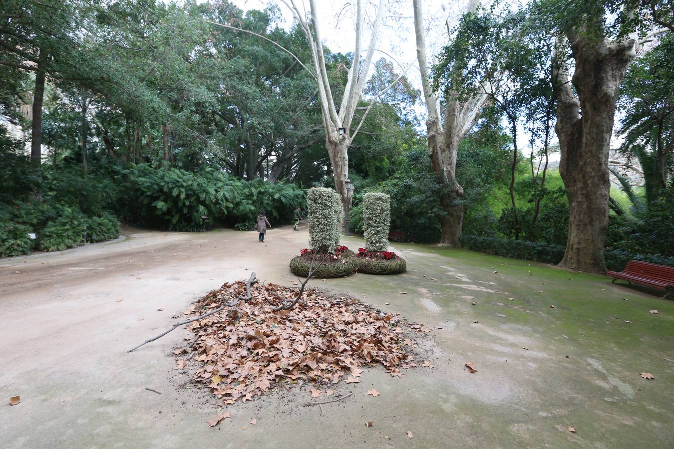 Imágenes del estado que presenta La Concepción