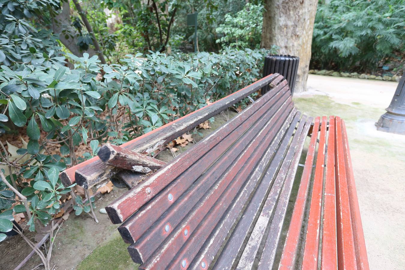 Imágenes del estado que presenta La Concepción