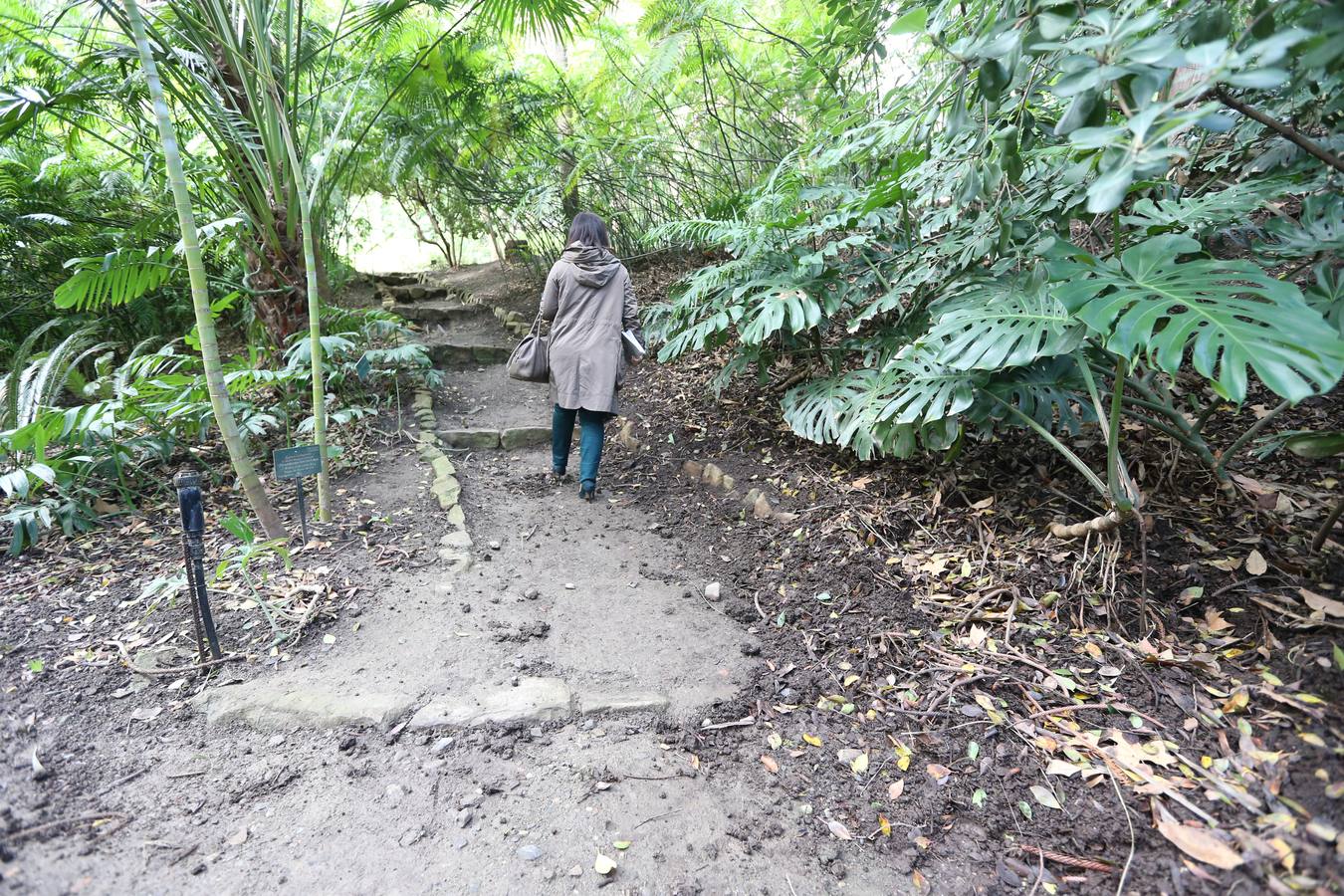 Imágenes del estado que presenta La Concepción