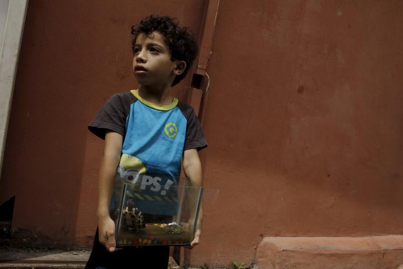 La espada de Zika