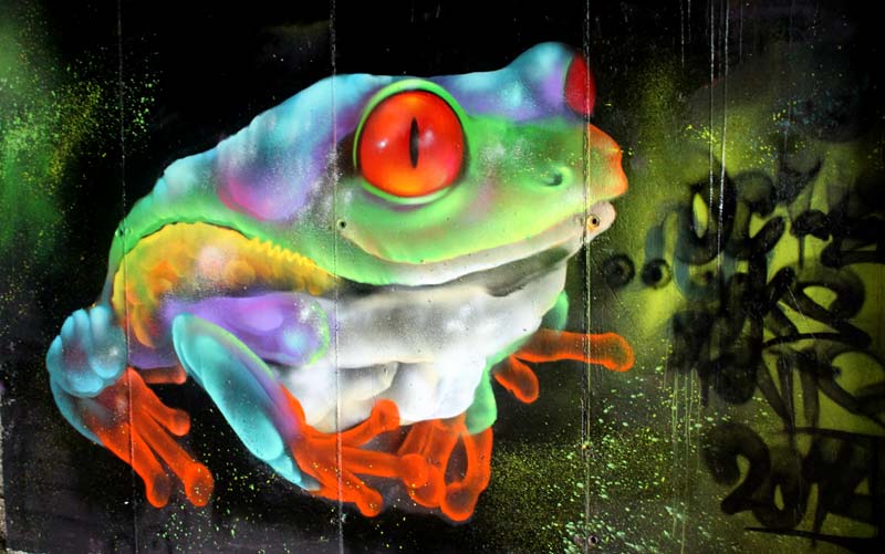 El grafiti salvaje de Ddarko