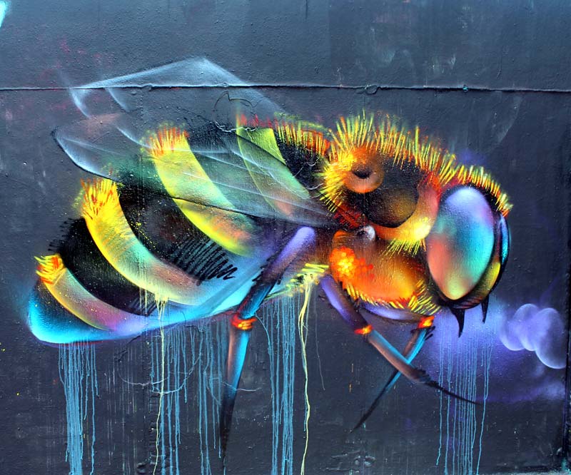 El grafiti salvaje de Ddarko