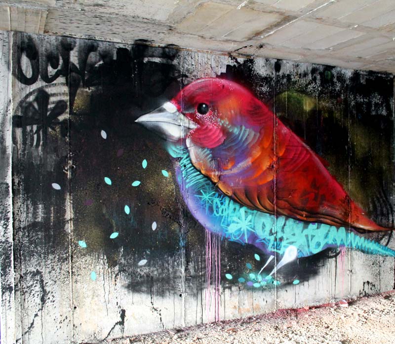 El grafiti salvaje de Ddarko