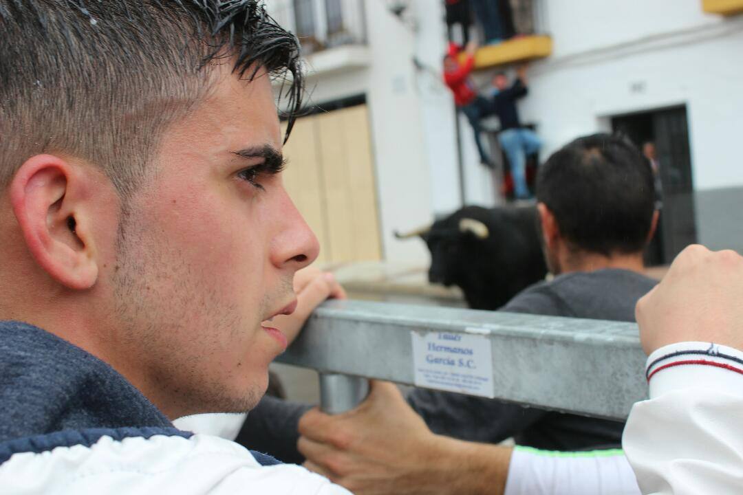 El Toro de cuerda de gaucín, en imágenes