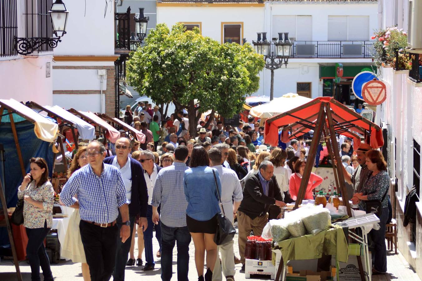 El Día de la Habaen Villanueva de la Concepción