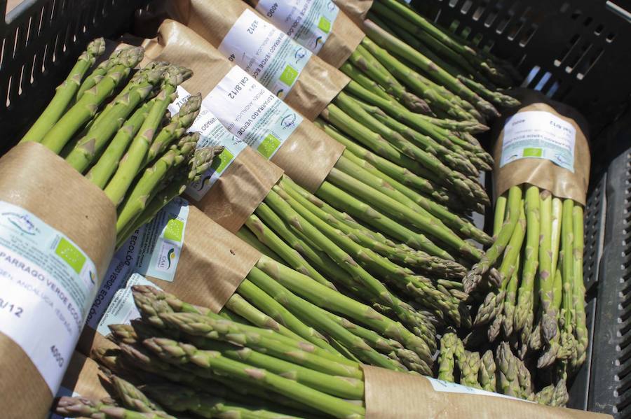 La Feria del Espárrago de Sierra de Yeguas, en imágenes