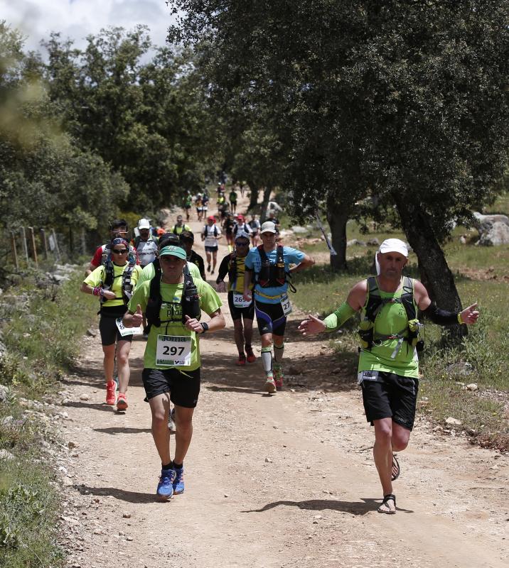 Corredores en los 101 kilómetros de Ronda