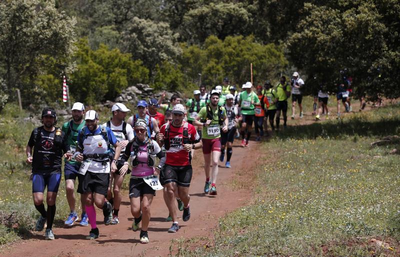 Corredores en los 101 kilómetros de Ronda