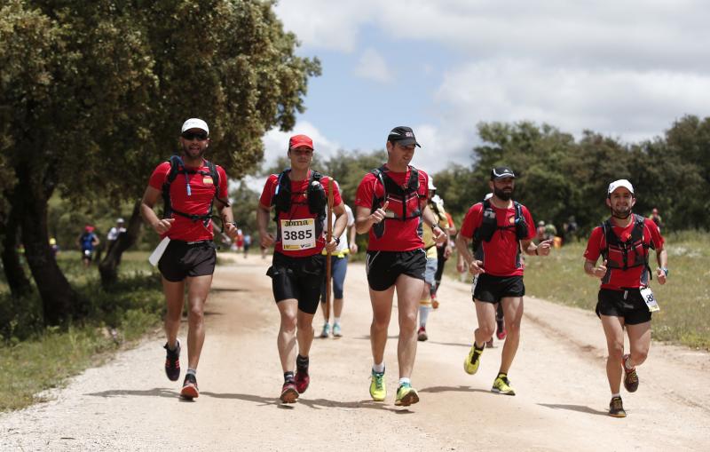 Corredores en los 101 kilómetros de Ronda