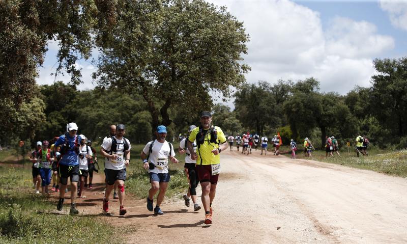 Corredores en los 101 kilómetros de Ronda