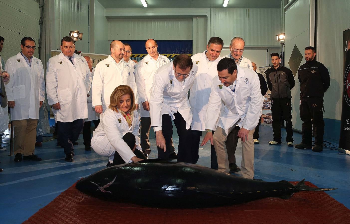 Fotos de la visita de Mariano Rajoy a la empresa malagueña Román y Martos