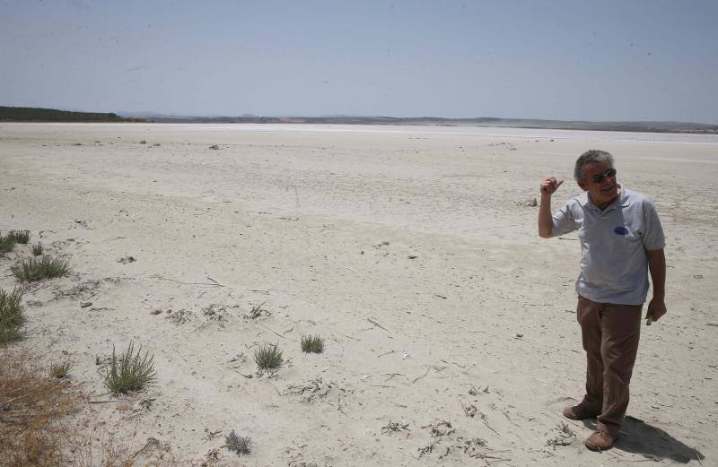 Fotos de la Laguna de Fuente de Piedra, que se queda sin crías de flamencos