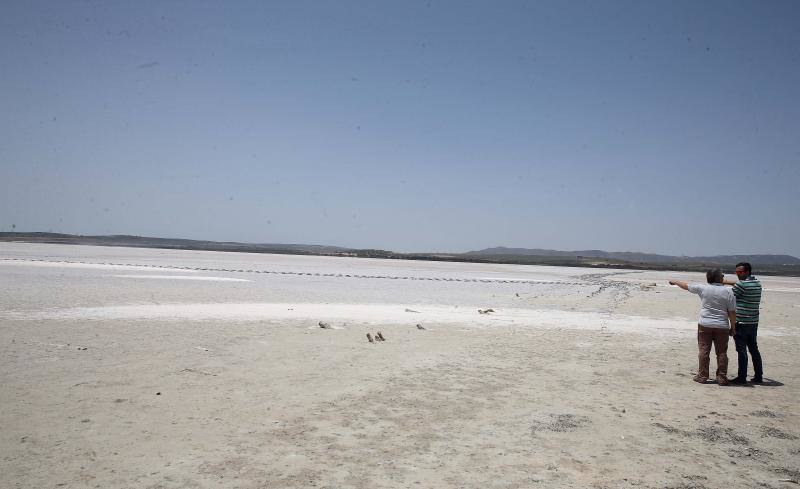 Fotos de la Laguna de Fuente de Piedra, que se queda sin crías de flamencos