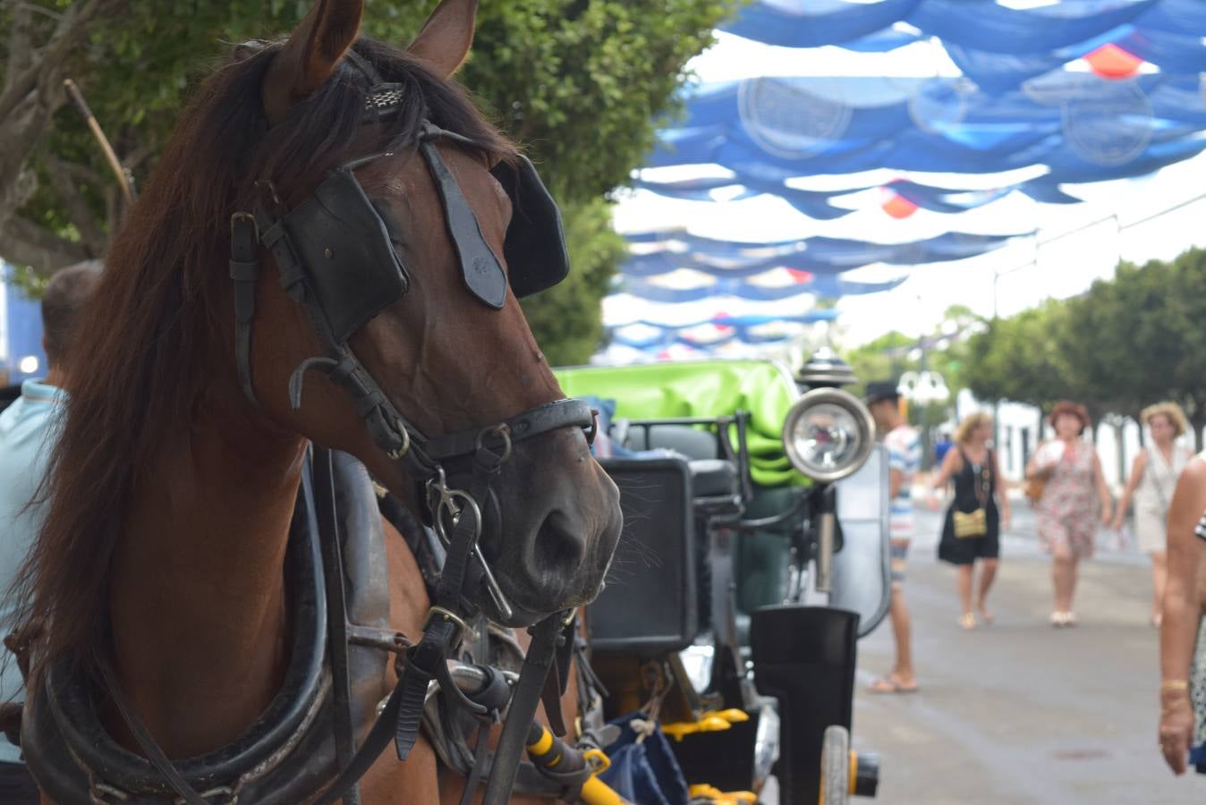 El Real de la Feria se anima y recibe una visita inesperada