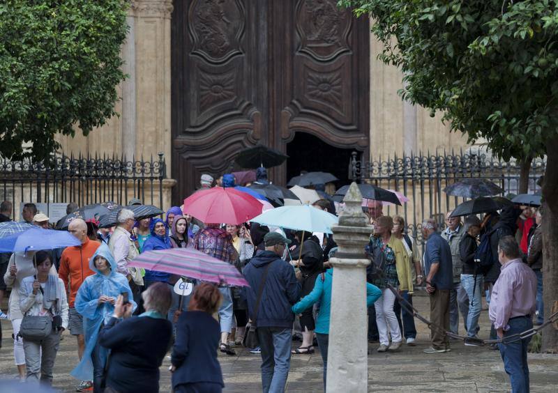 Fotos de las primeras lluvias del otoño en Málaga