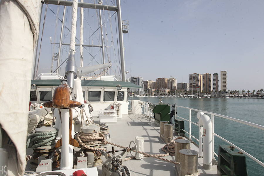 El &#039;Rainbow Warrior&#039;, en imágenes