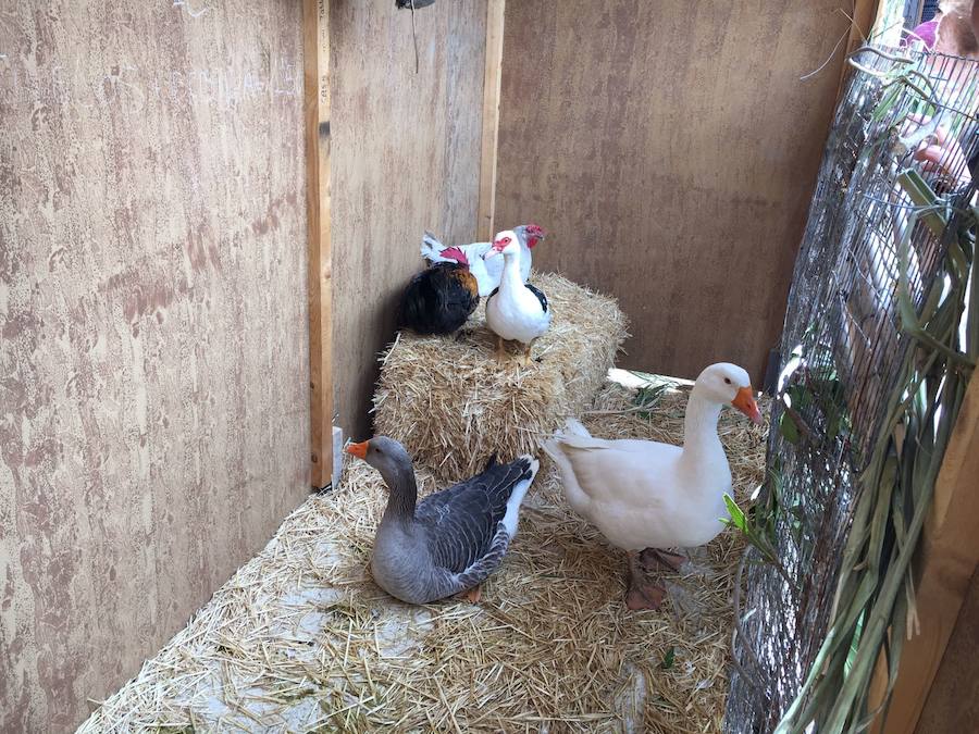 La recreación de María Sagredo en Alozaina, en imágenes