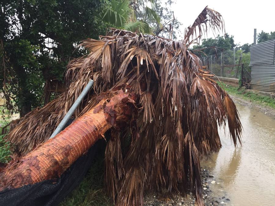 En imágenes, las consecuencias de las fuertes lluvias en Málaga