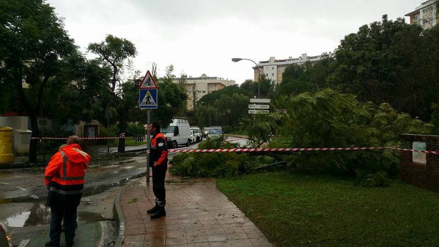 En imágenes, las consecuencias de las fuertes lluvias en Málaga