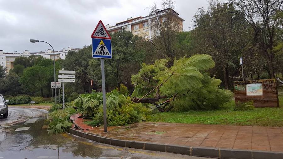 En imágenes, las consecuencias de las fuertes lluvias en Málaga