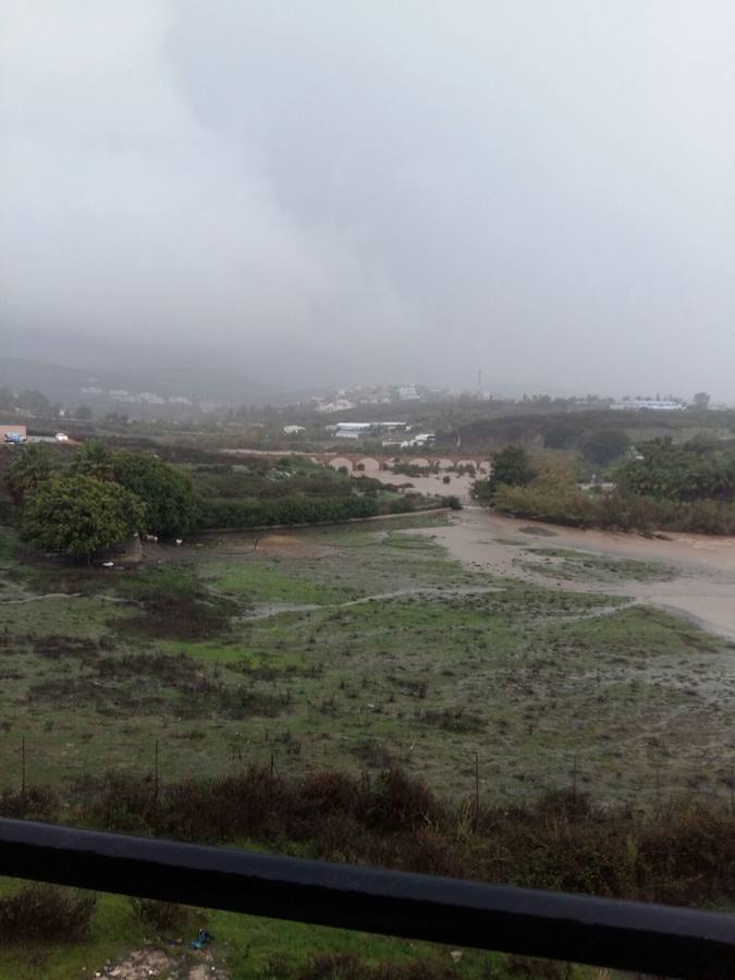 Arroyo Raraje, en Estepona.