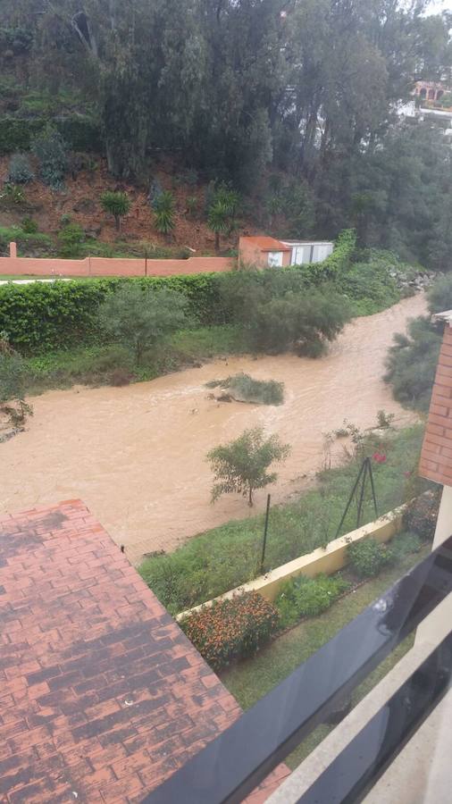 Así baja el agua por el arroyo de El Limonar