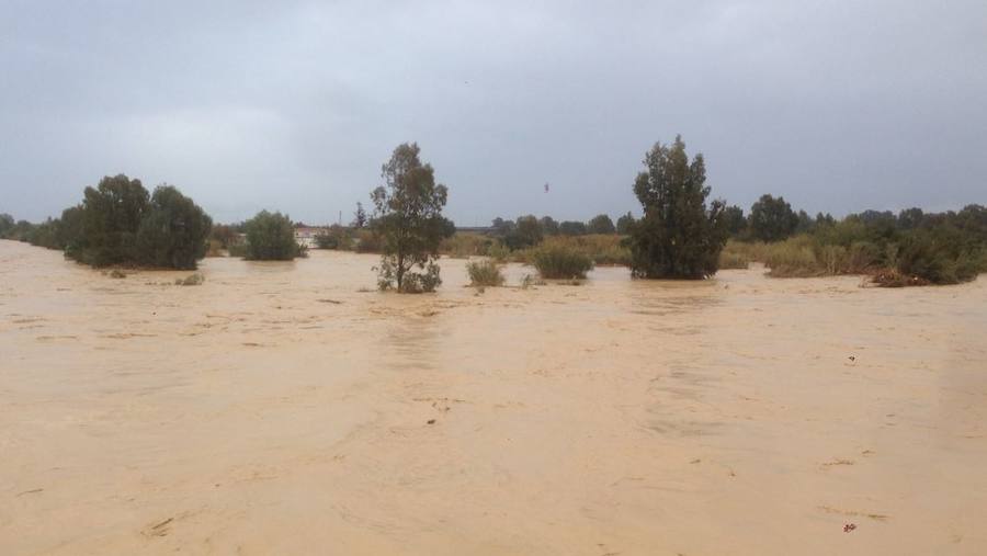 Crecida del río Guadalhorce.