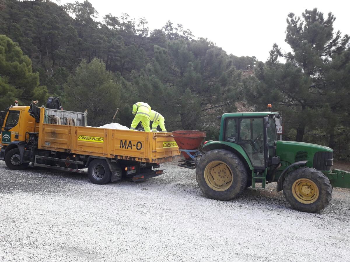 Carretera que va desde Ronda a San Pedro.