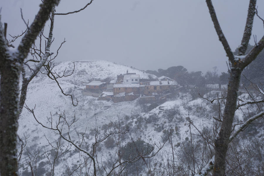 La nieve llega a los Montes de Málaga