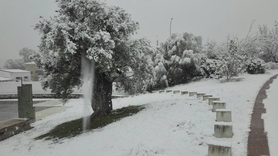 La nieve cubre los Dólmenes de Antequera y su entorno