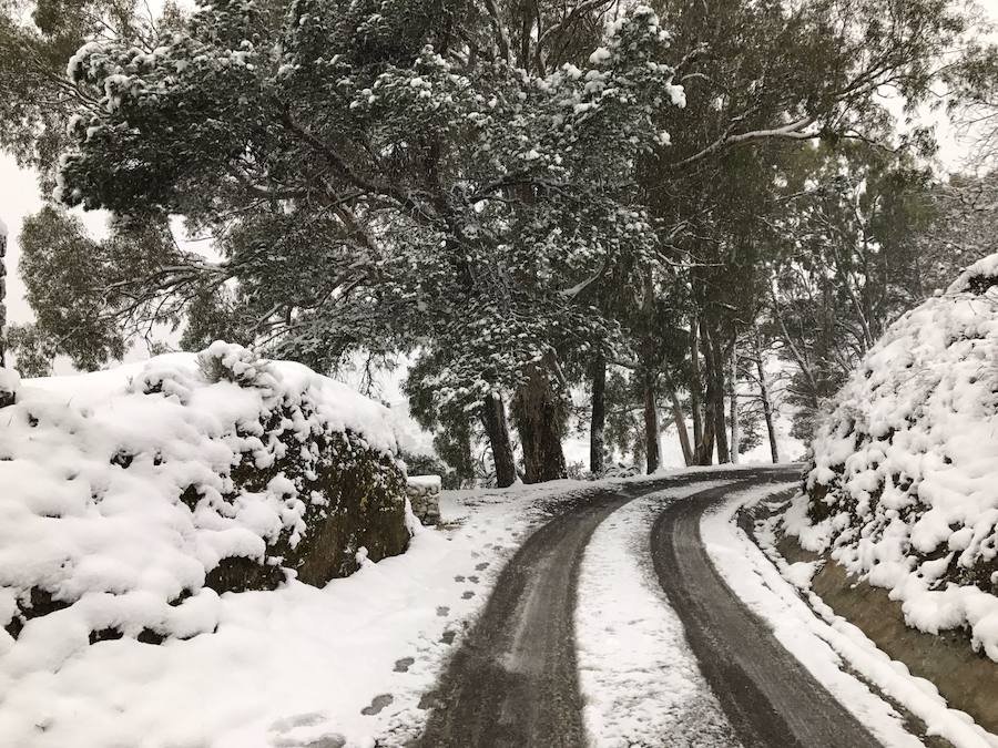Un manto blanco cubre Yunquera