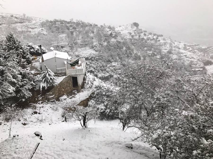 Un manto blanco cubre Yunquera