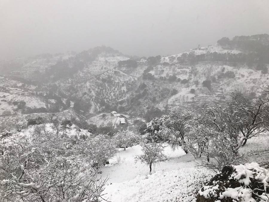 Un manto blanco cubre Yunquera