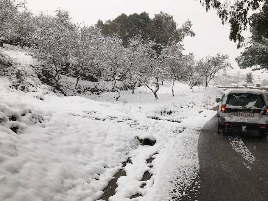 Un manto blanco cubre Yunquera