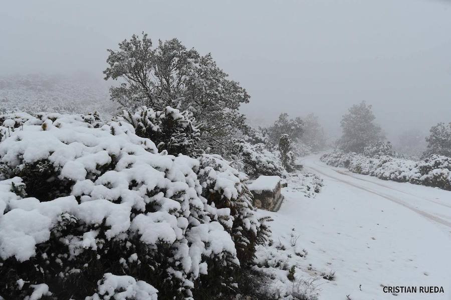 La nieve cubre otros puntos de la provincia, principalmente del interior