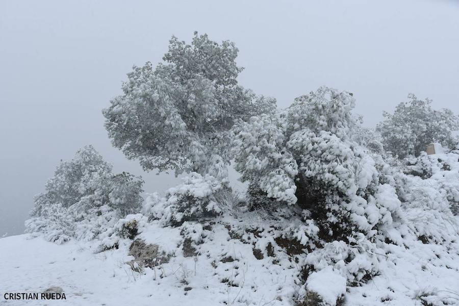 La nieve cubre otros puntos de la provincia, principalmente del interior