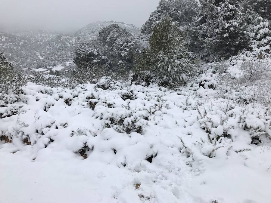 Un manto blanco cubre Yunquera