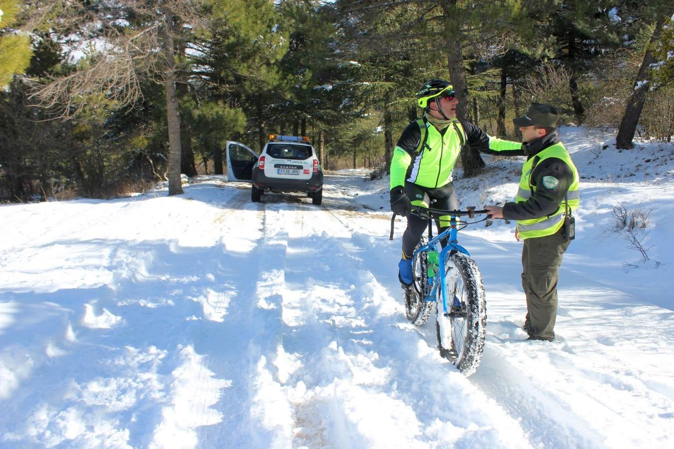 Las mejores imágenes de la nieve este sábado en Ronda