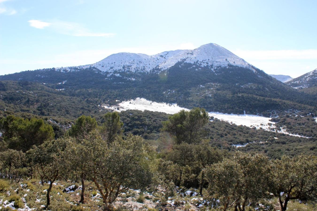 Las mejores imágenes de la nieve este sábado en Ronda