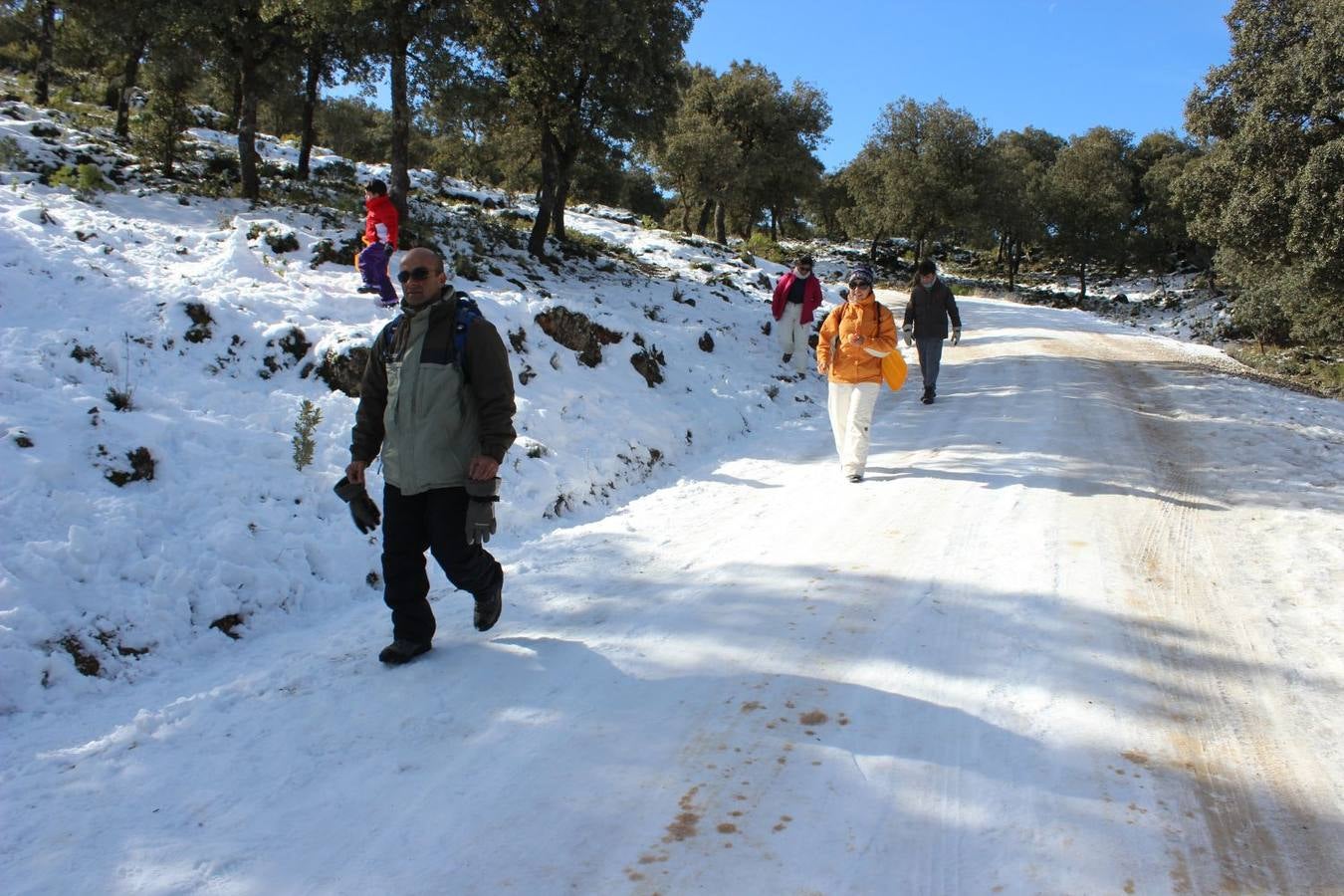 Las mejores imágenes de la nieve este sábado en Ronda